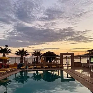Club Rose Bay Foca